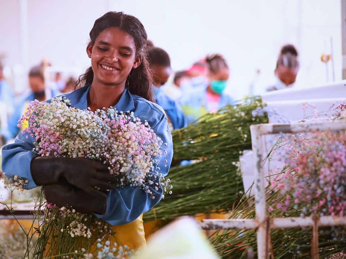 Through Its Code of Practice, Ethiopian Horticulture Producer Exporters Association Ensures That Flower Farm Workers Are Protected, Fairly Treated, Paid Well, and Given Opportunities to Grow