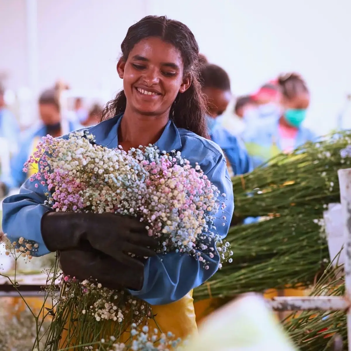 Through Its Code of Practice, Ethiopian Horticulture Producer Exporters Association Ensures That Flower Farm Workers Are Protected, Fairly Treated, Paid Well, and Given Opportunities to Grow