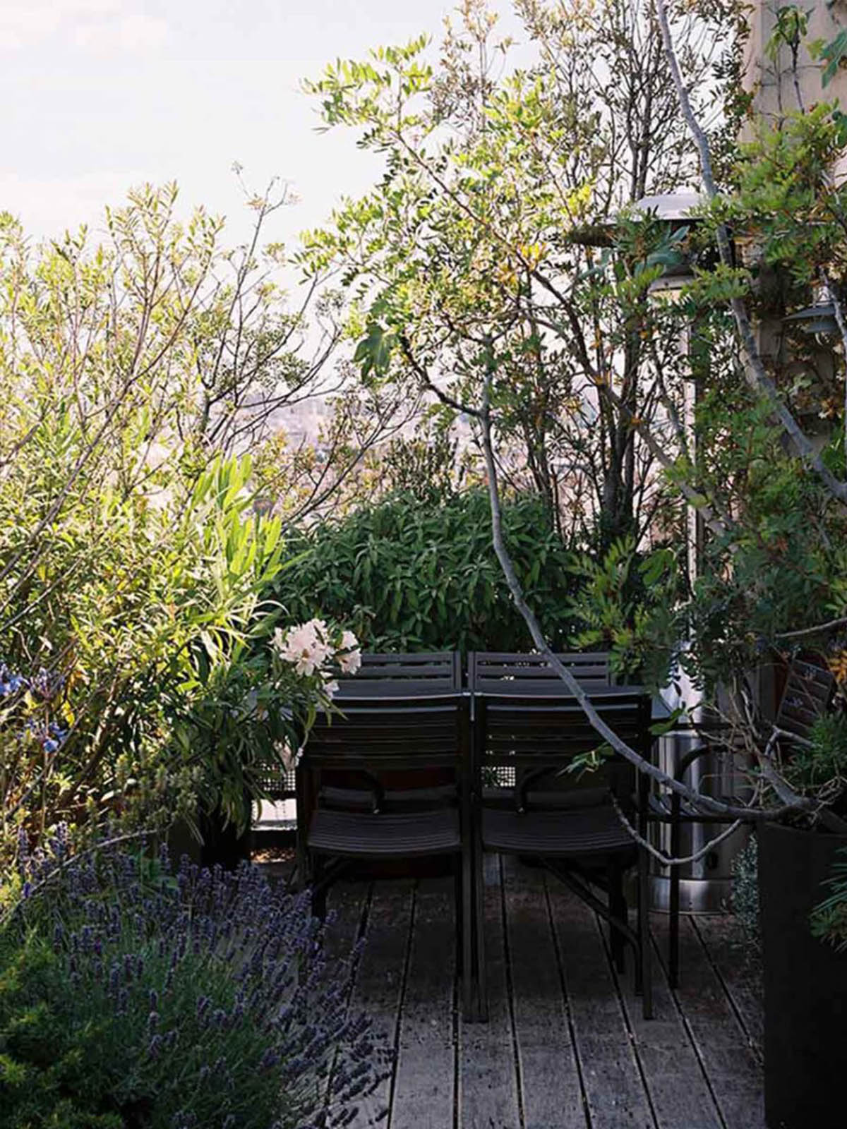 On the Rooftops of Paris, a New Kind of Urban Garden 02