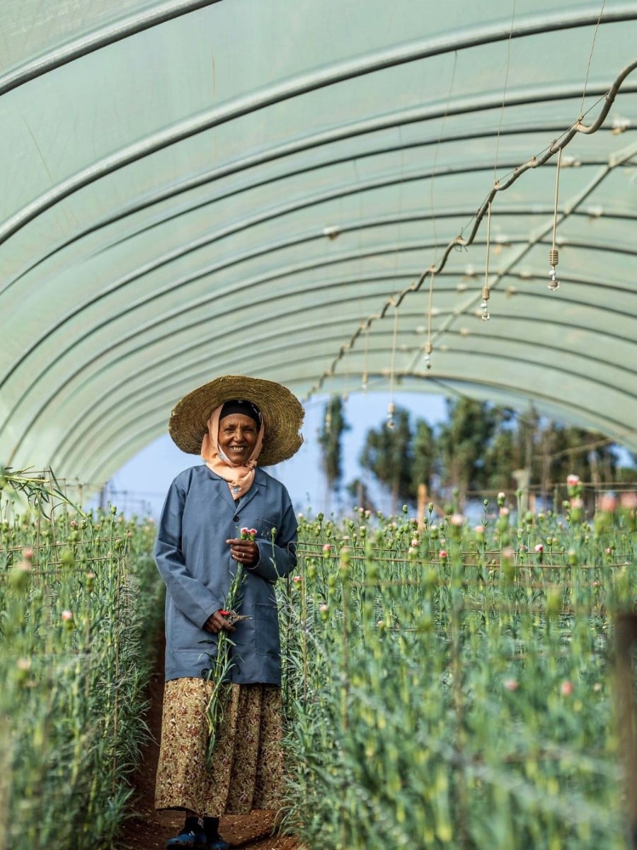 How the Industry Can Strike a Balance Between Floriculture and Food Security.