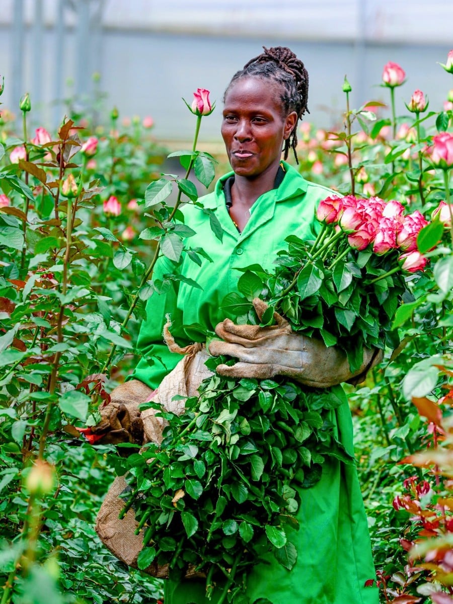 How the Industry Can Strike a Balance Between Floriculture and Food Security.