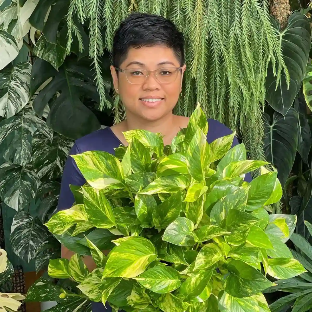 Indoor Plant Spaces Feature Image