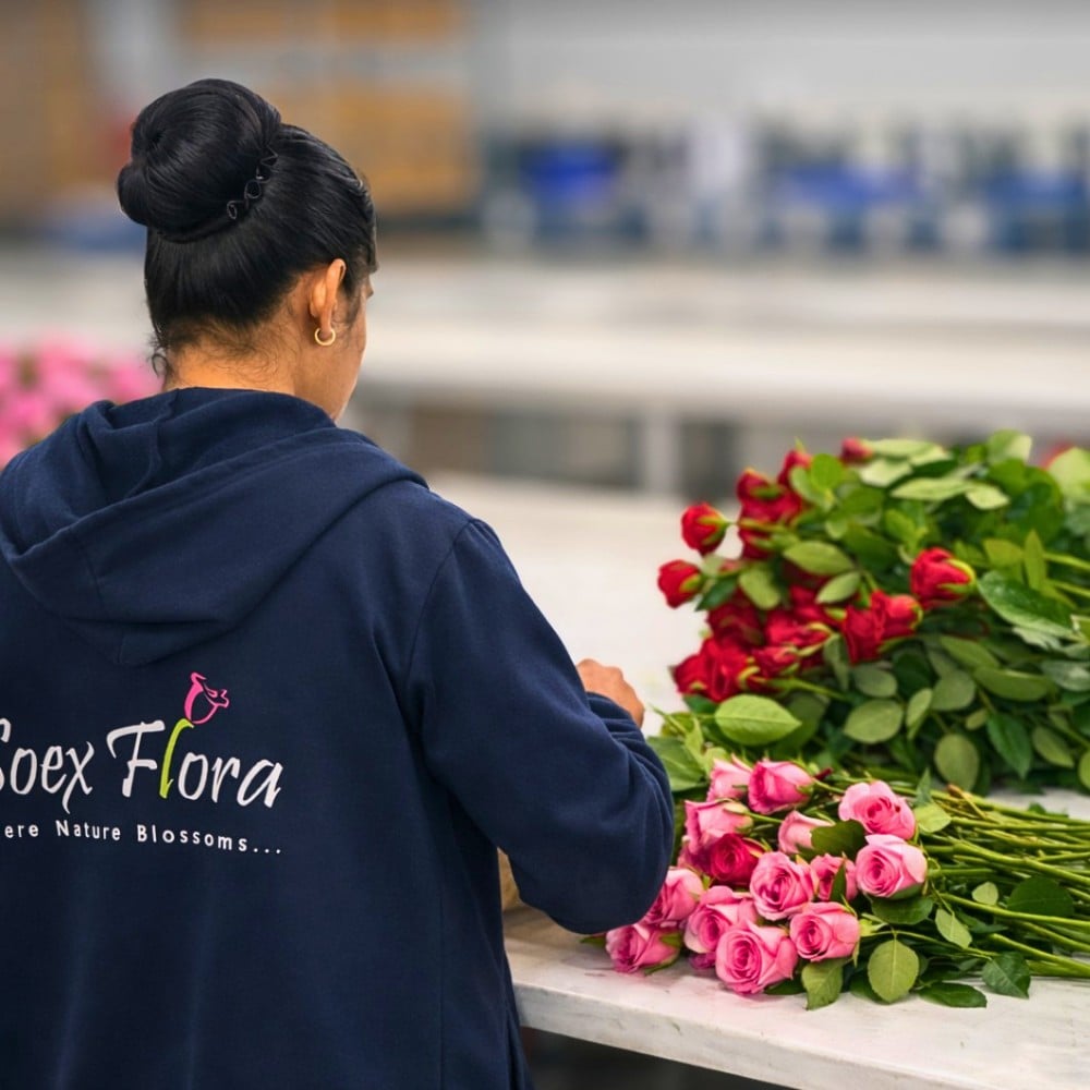 How the Industry Can Strike a Balance Between Floriculture and Food Security.