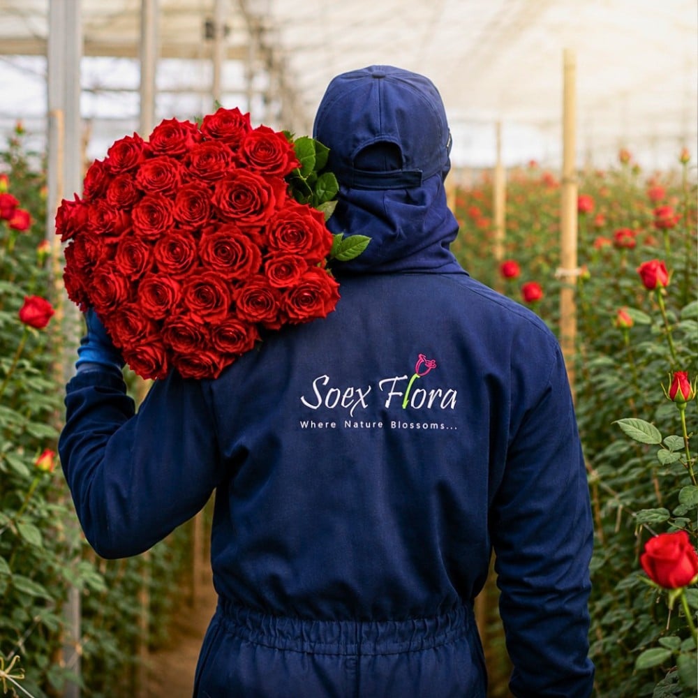 How the Industry Can Strike a Balance Between Floriculture and Food Security.