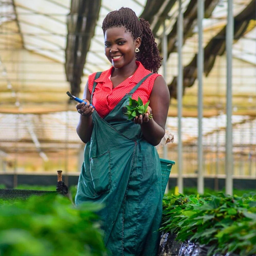 Floriculture and Food Security &ndash; How Can the Industry Strike a Balance?