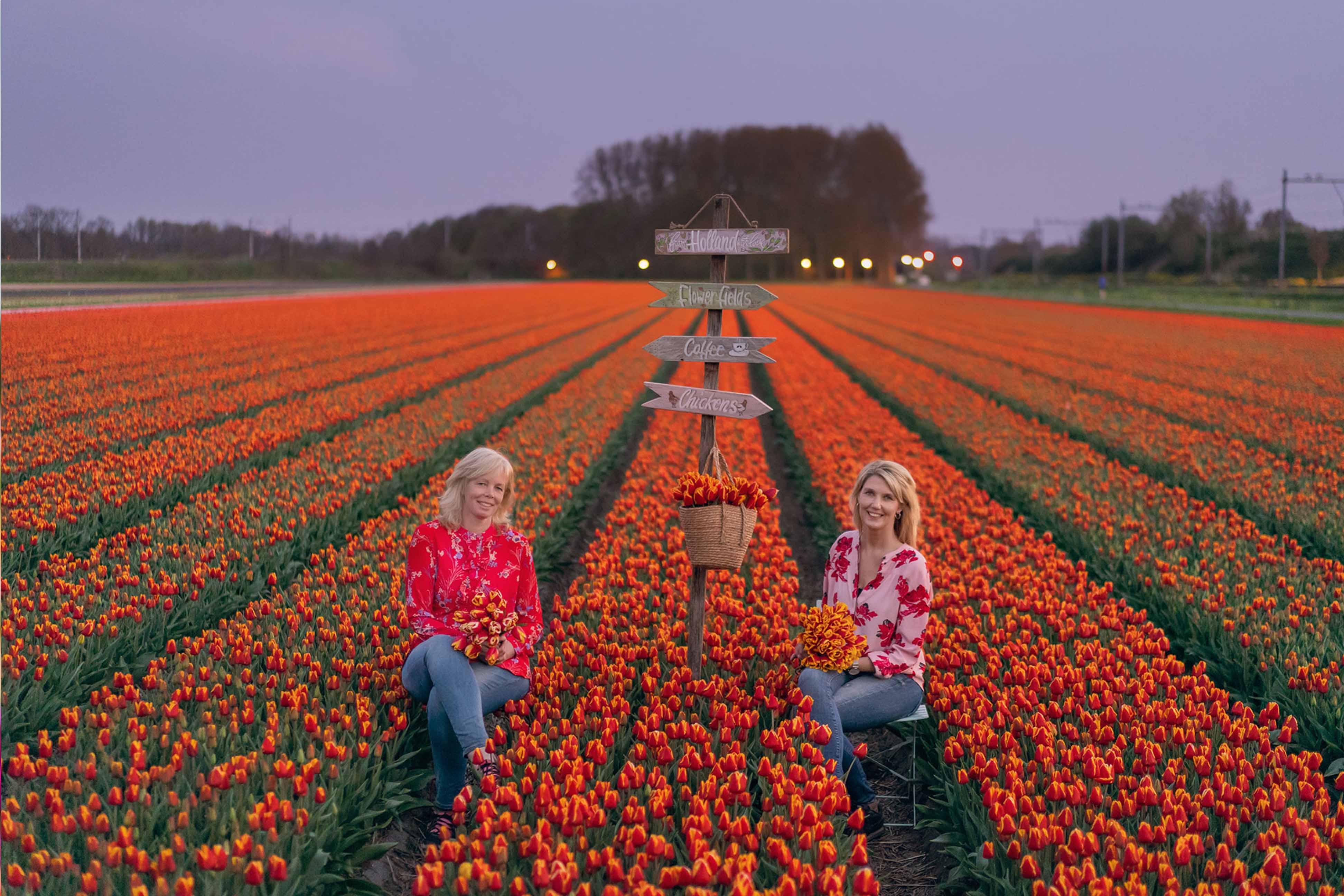 fam flower farm tulips on thursd