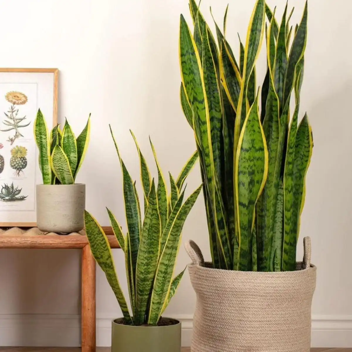 Importance of Interior Design Feature Image