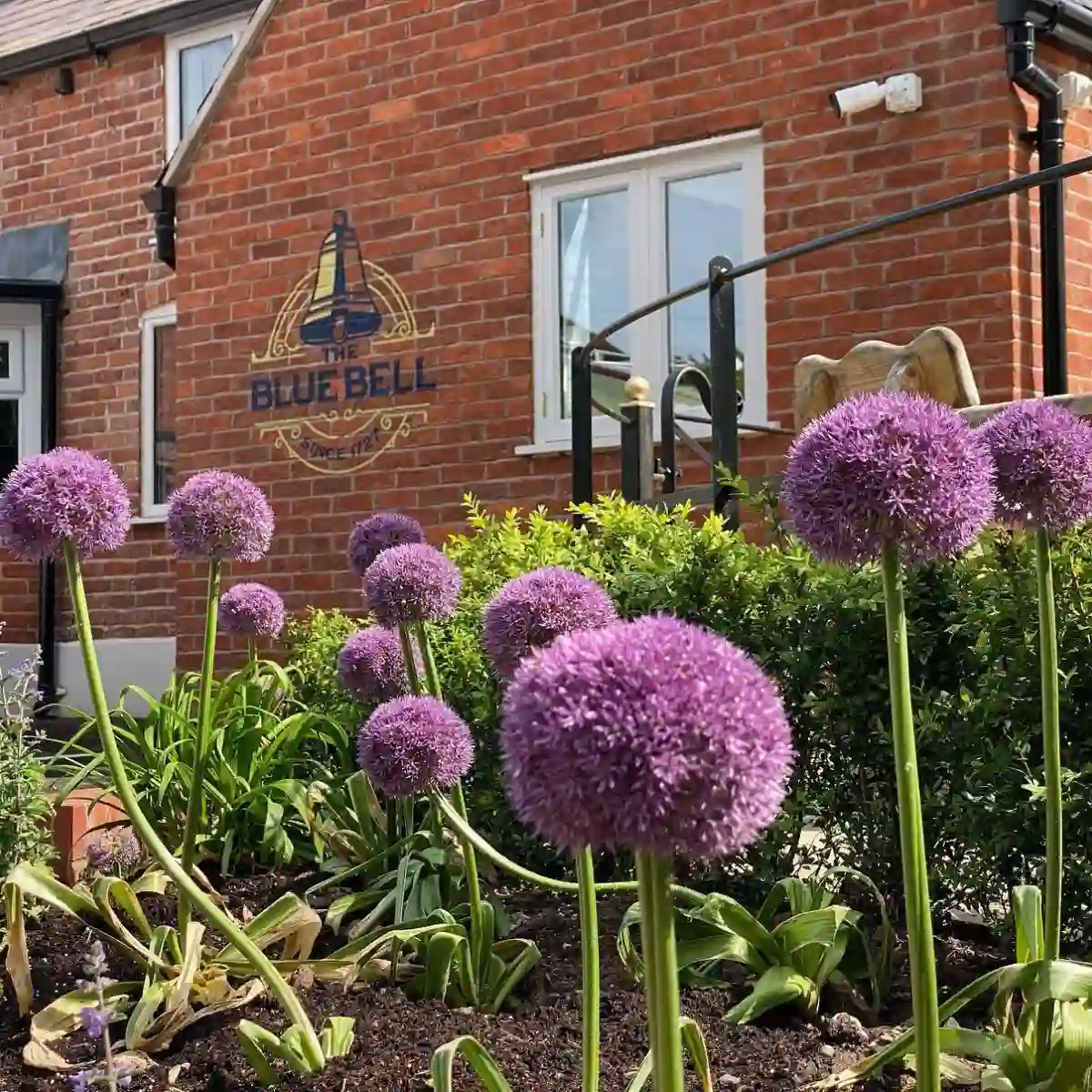 Garden Maintenance Feature Image
