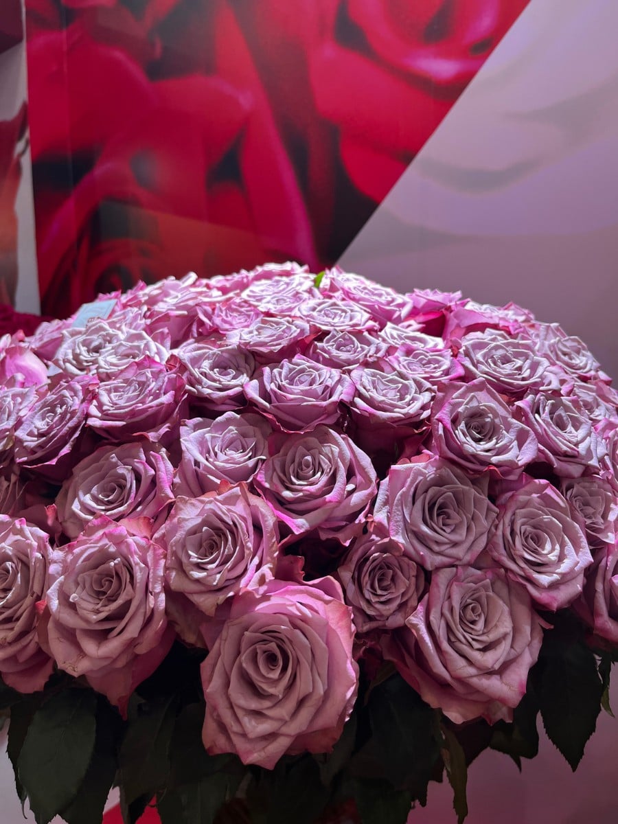Rose Bahati&reg; From Genviv Delivered by De Ruiter East Africa.