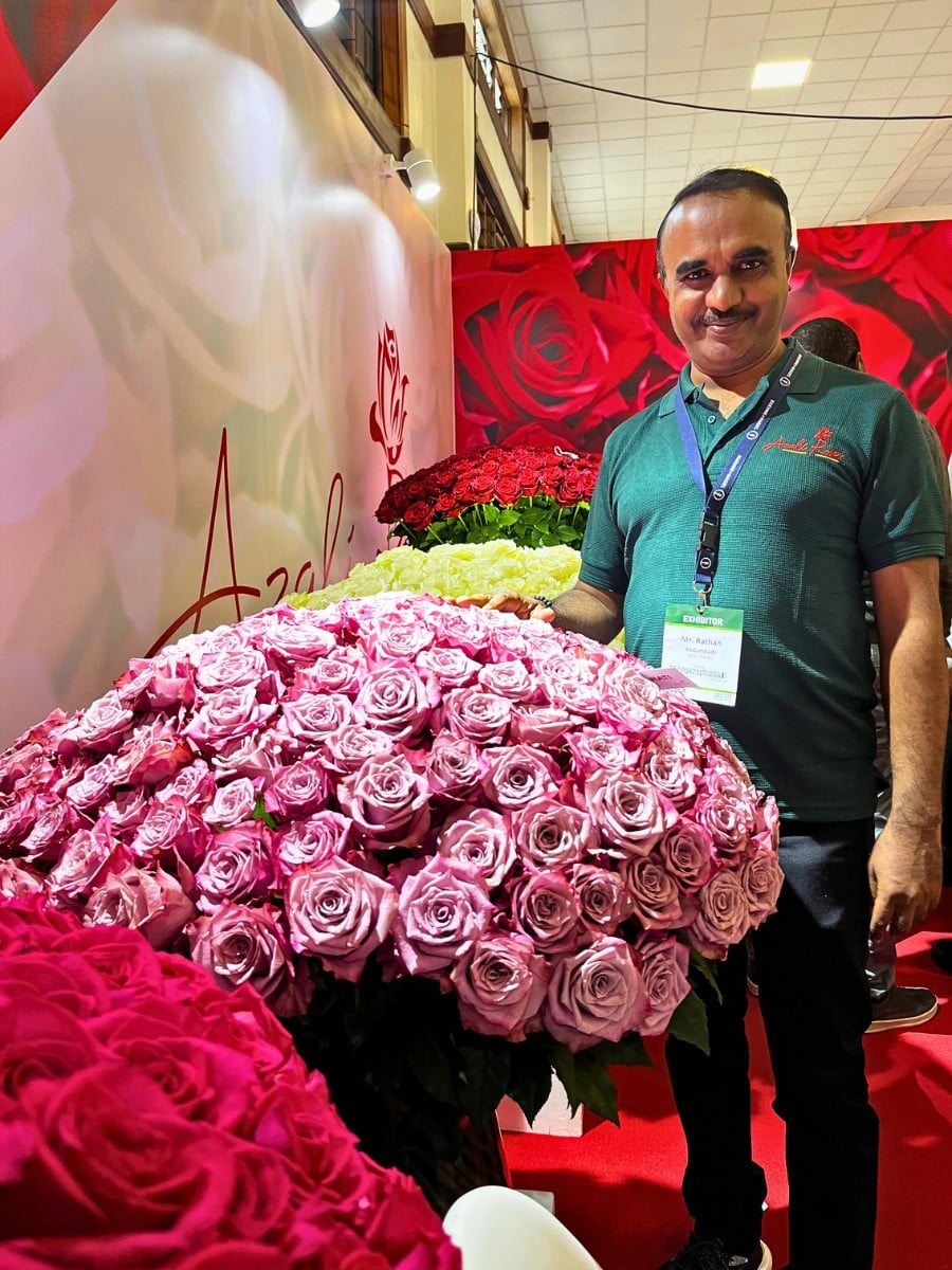 Rose Bahati&reg; From Genviv Delivered by De Ruiter East Africa.