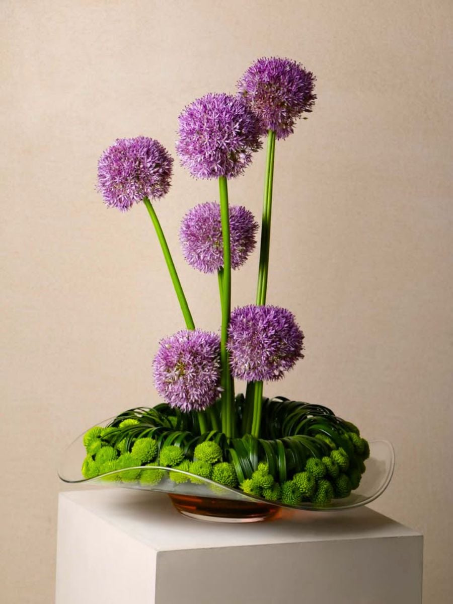 Allium design by crochet_florist