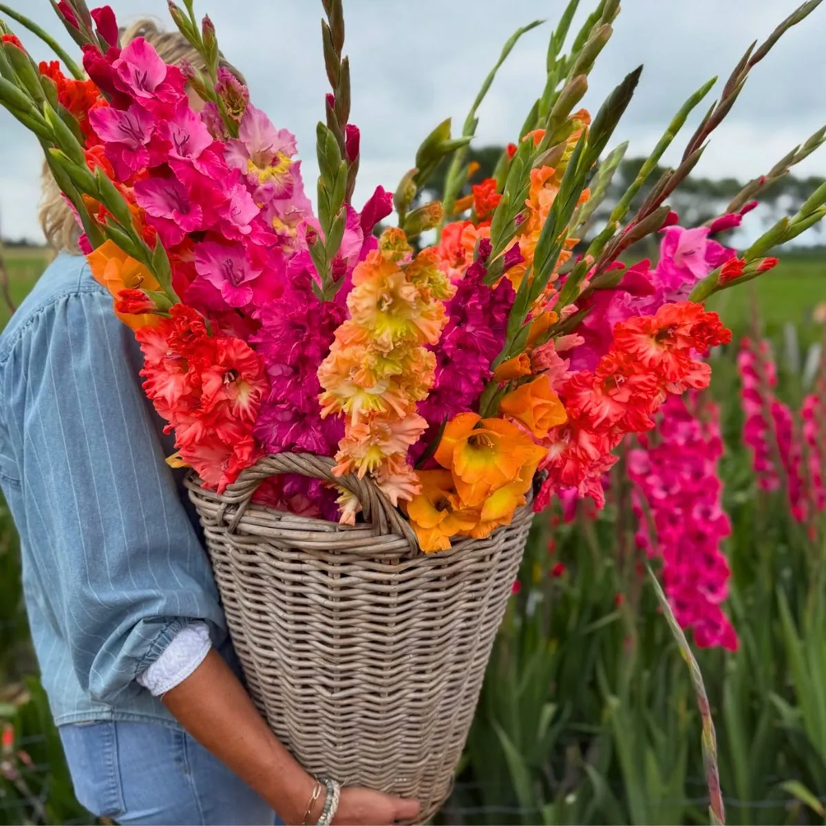 Gladioli by famflowerfarm