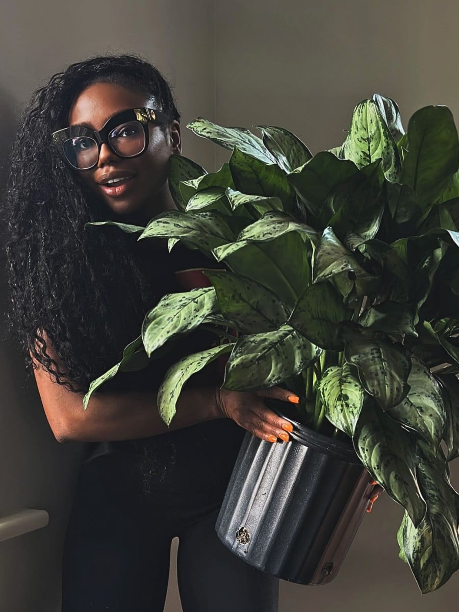 Best Low Light Houseplants for Shade and Dark Rooms