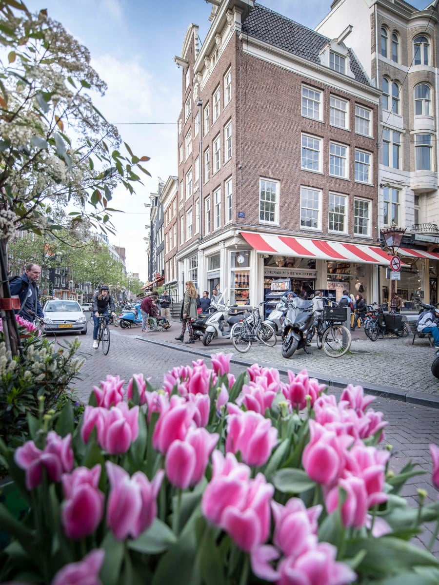 Small-Scale Urban Floriculture Feeding Into the Overall Sustainability Agenda