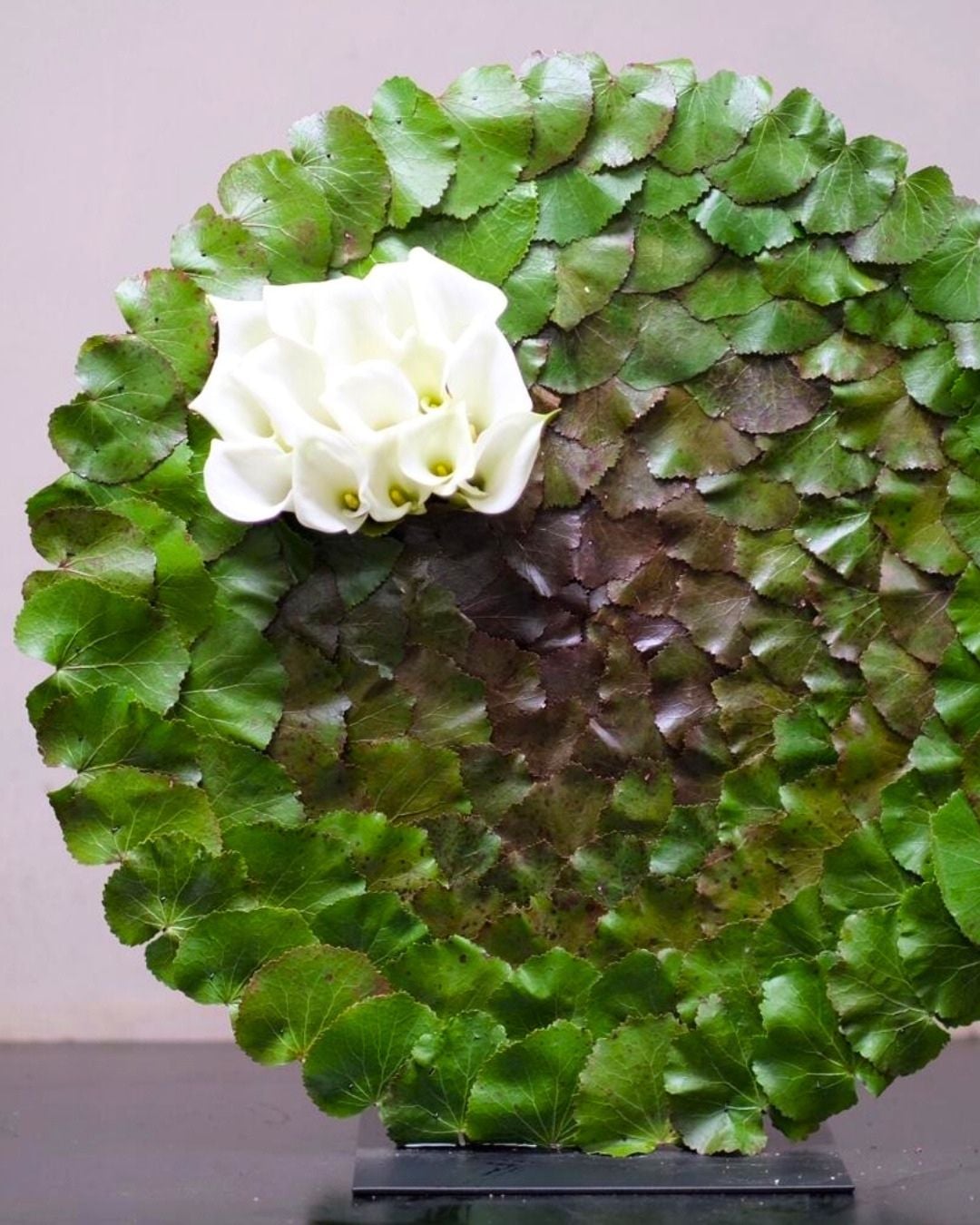 Design Daniel Ost With Galax Leaves