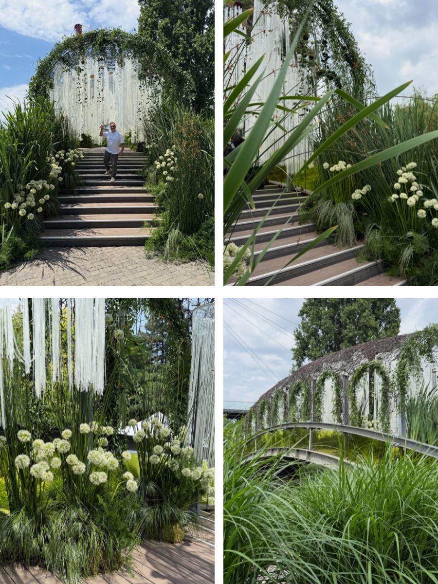 Nicu Bocancea With Greens Creating Stunning Installations