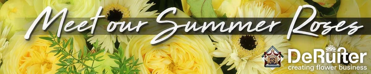 BannerDeRuiterSummerRoses Desktop BannerDeRuiterSummerRoses Desktop