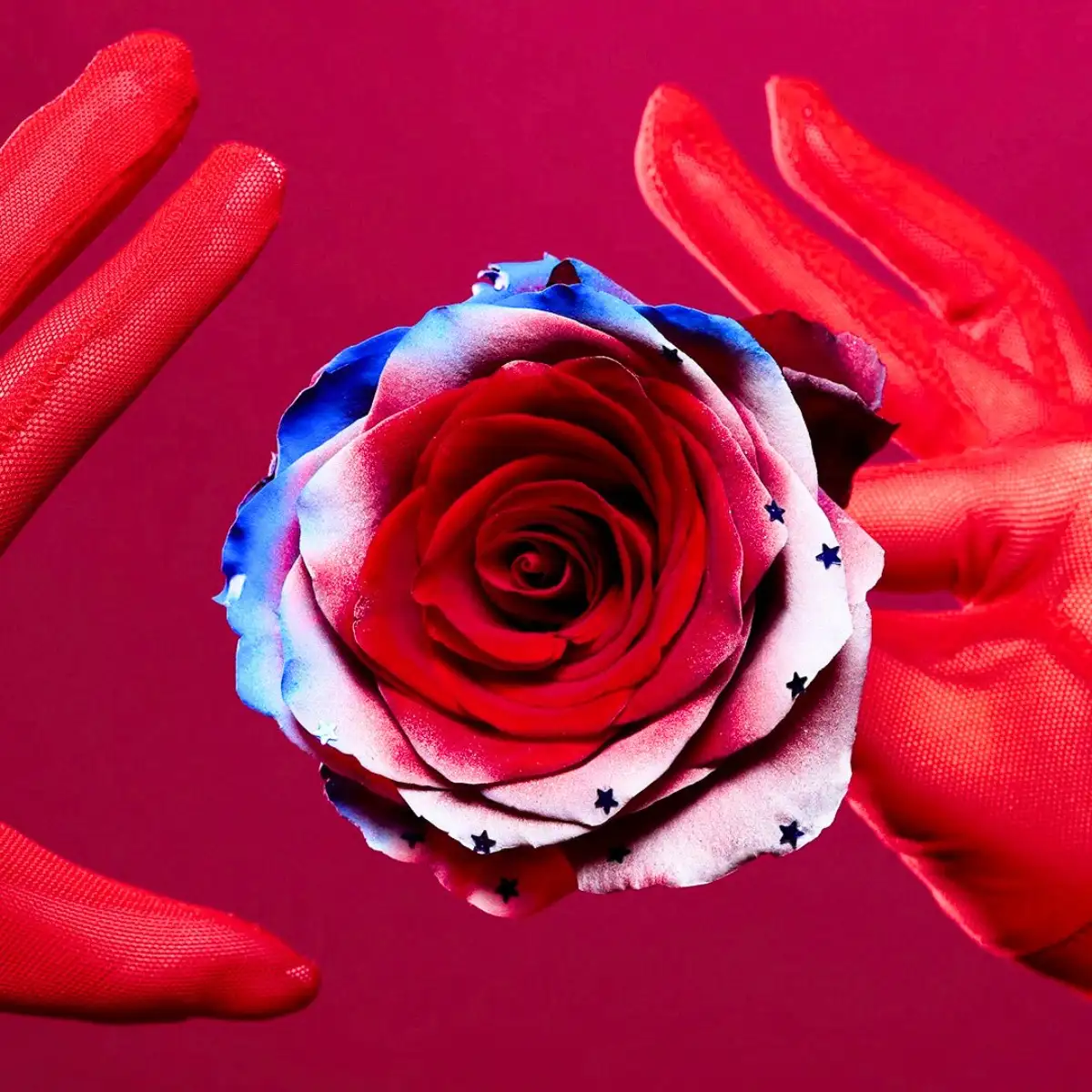 These Are the Flowers for the Fourth of July