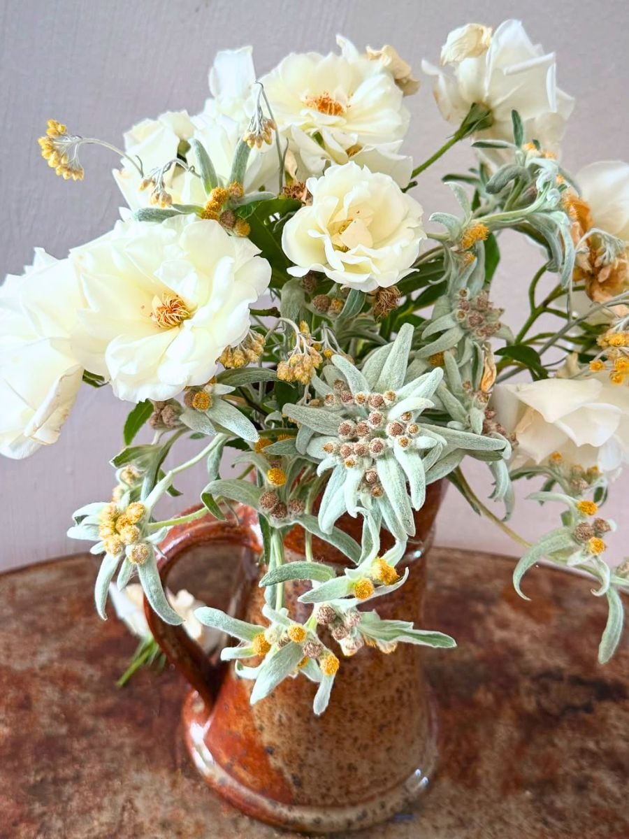 Edelweiss flowers with white roses