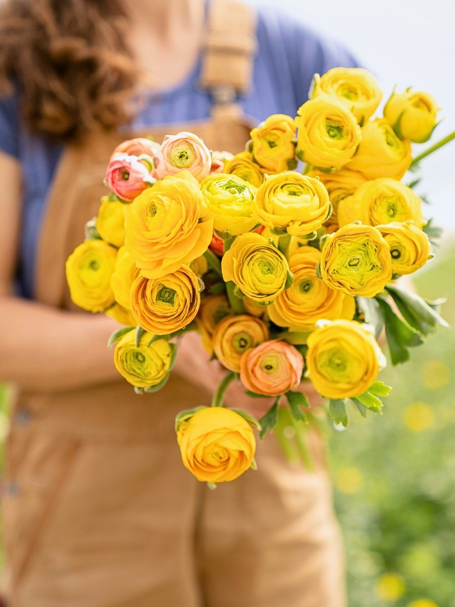 The North Carolina State University Study, Supported by the American Floral Endowment, though Sustainabloom Had Several Findings on Sustainability. But What Do They Mean for the Global Floral Supply Chain?