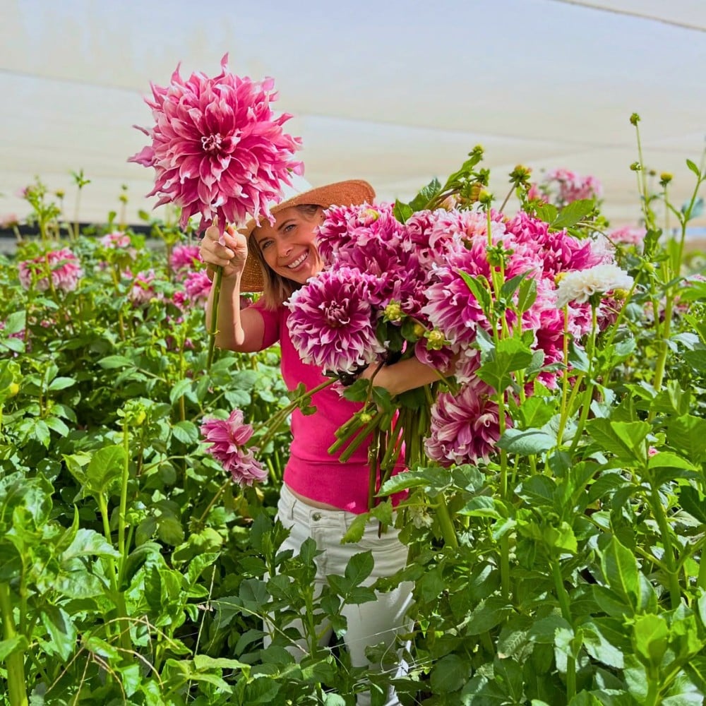 The North Carolina State University Study, Supported by the American Floral Endowment, though Sustainabloom Had Several Findings on Sustainability. But What Do They Mean for the Global Floral Supply Chain?