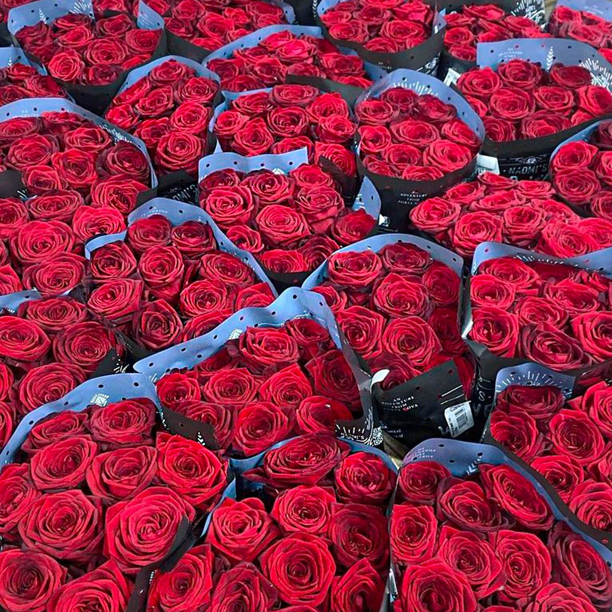 Valentine's Day in the Floral Industry vanvliet1