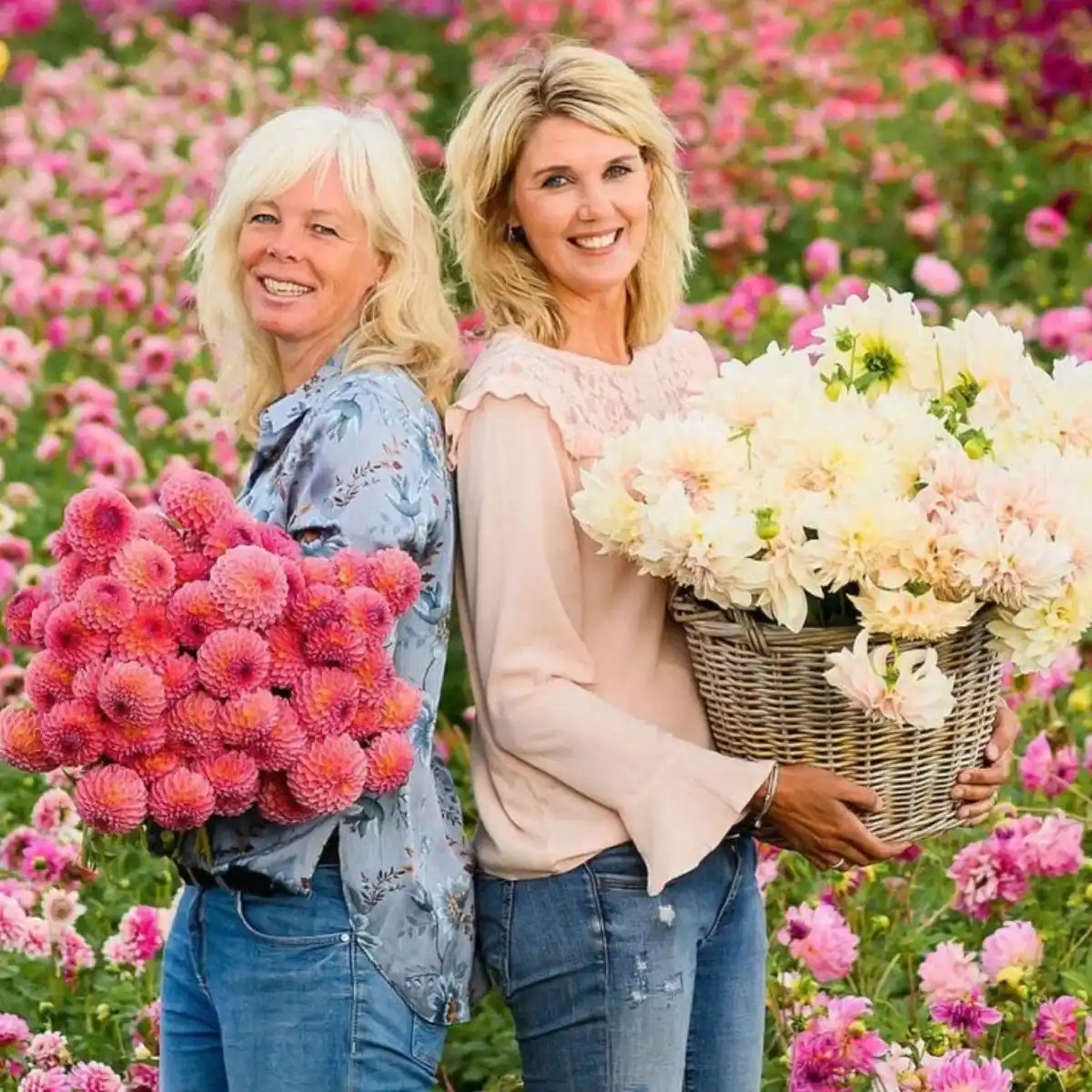 Flower Farm Feature Image
