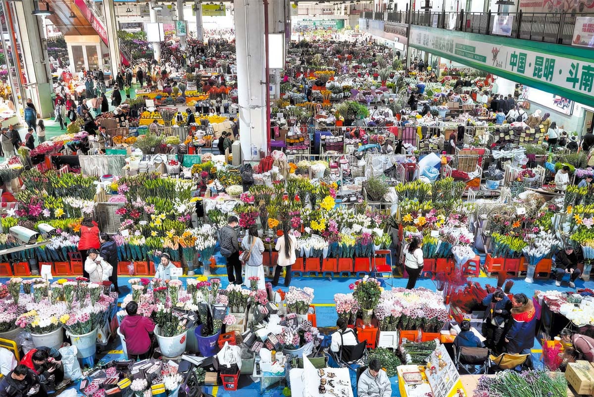 Kunming Dounan Flower Market