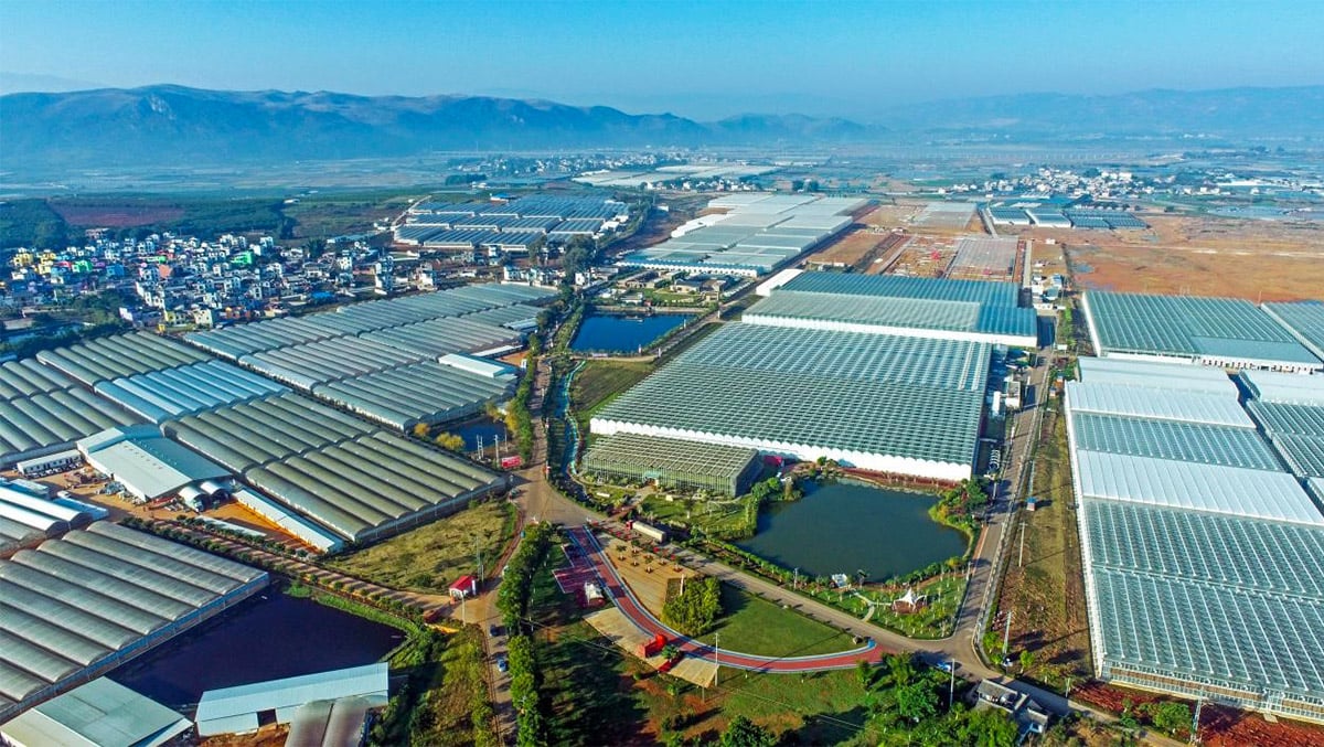 Kunming Dounan flower growing and trading area