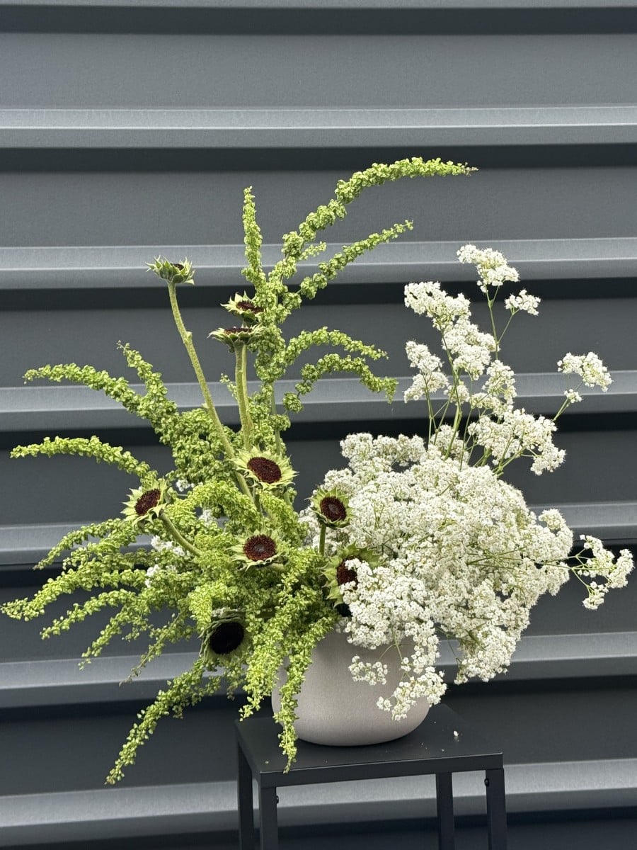 Danziger's Gypsophila: A Flower Made of a Million Little Moments