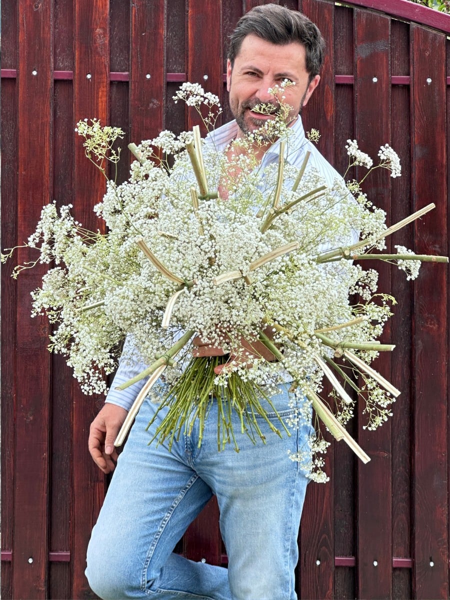 Danziger's Gypsophila: A Flower Made of a Million Little Moments