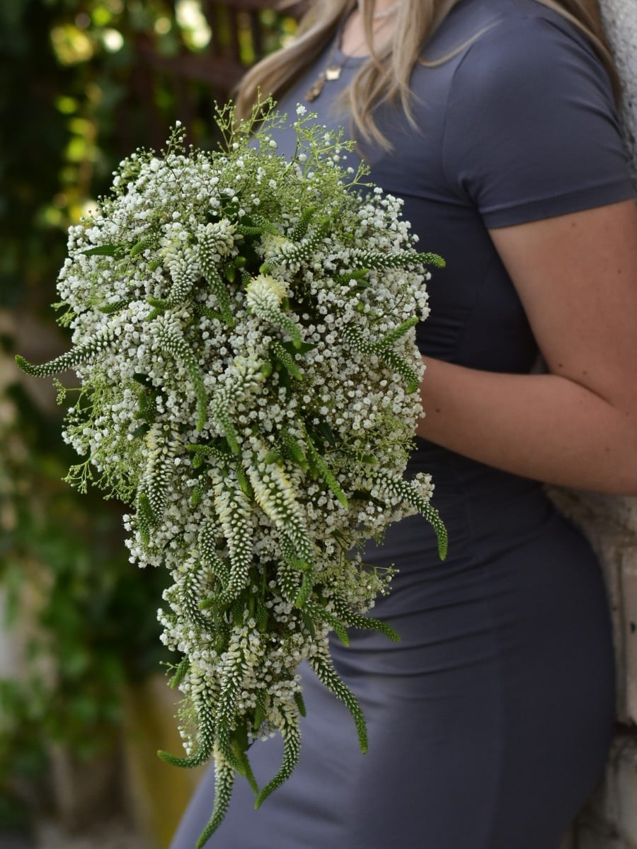 Danziger's Gypsophila: A Flower Made of a Million Little Moments
