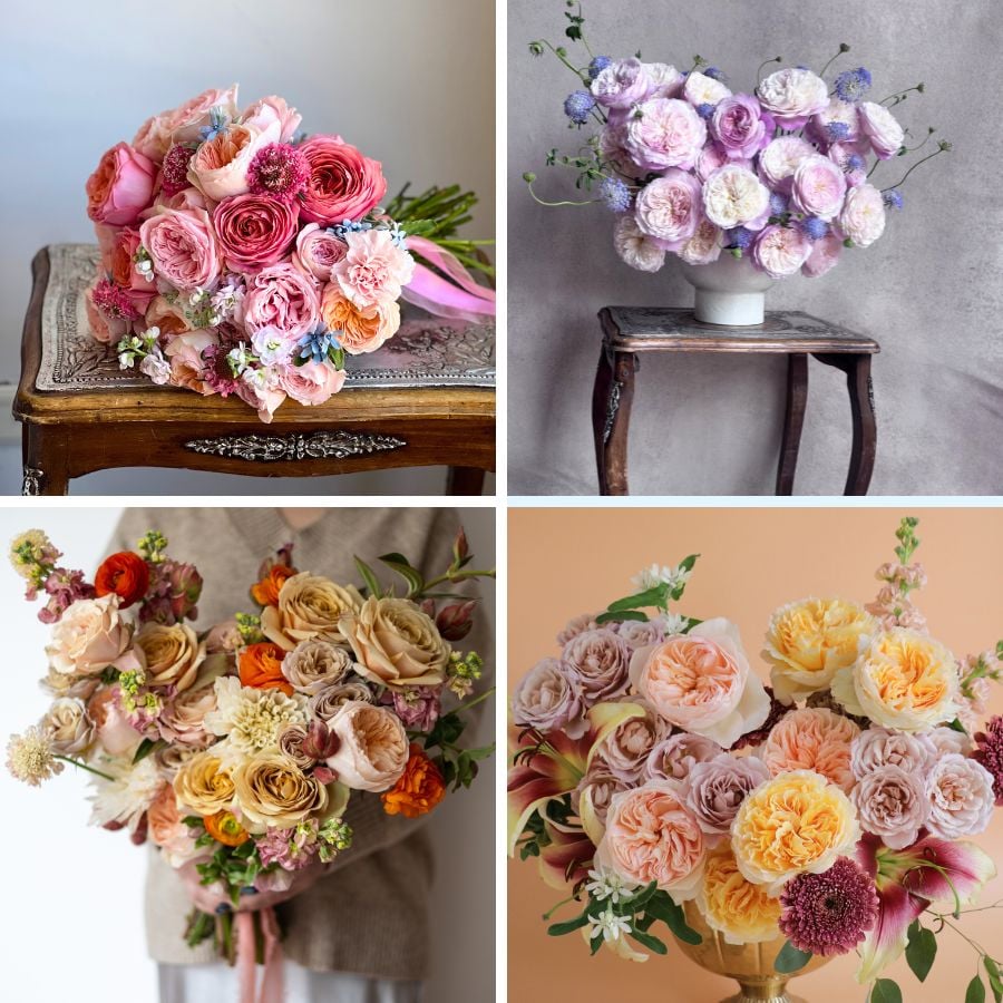 Spring palette with garden roses by Alexandra Farms