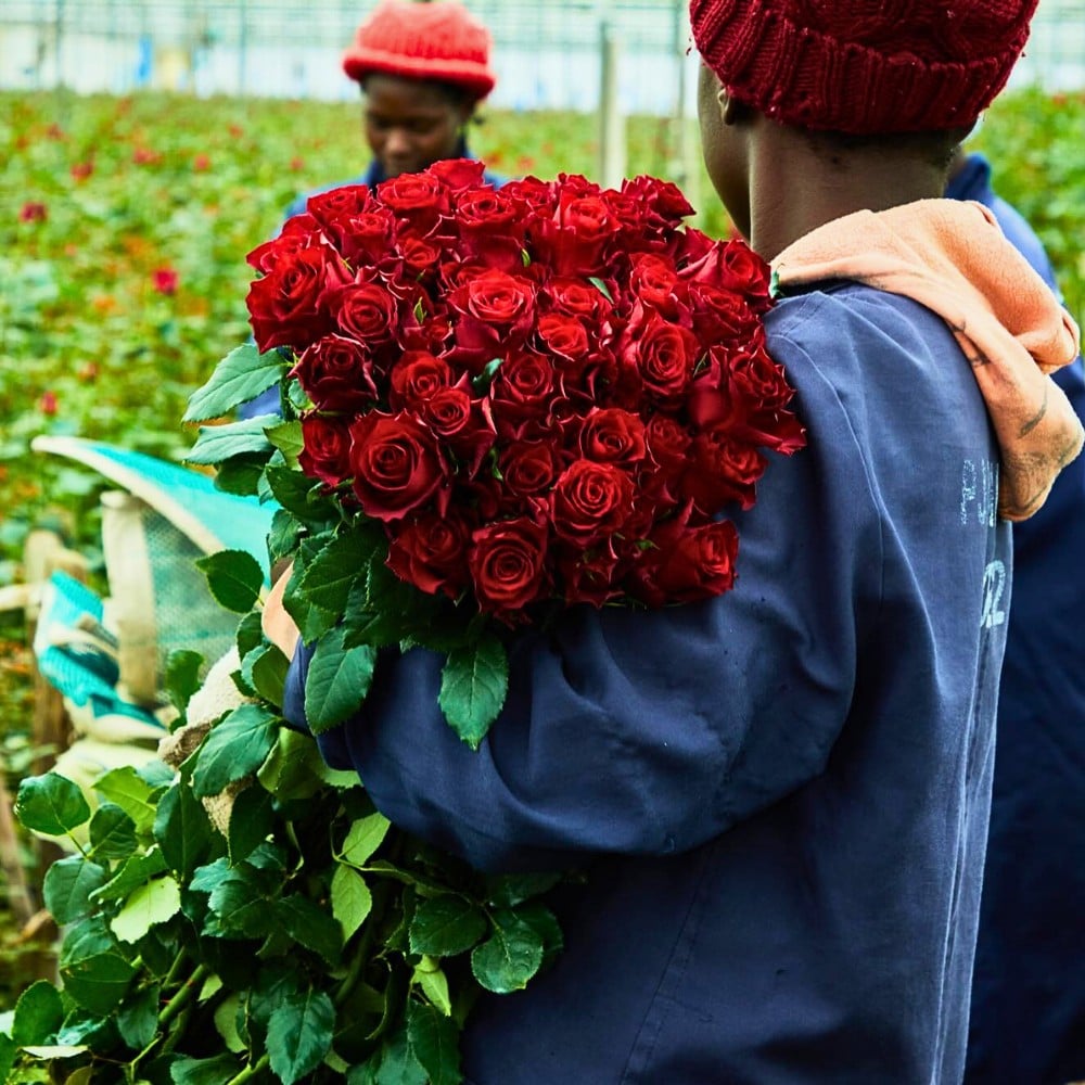 Kenya&rsquo;s Finance Act 2026 &ndash; What Does It Mean for the Country&rsquo;s Floriculture and Logistics?