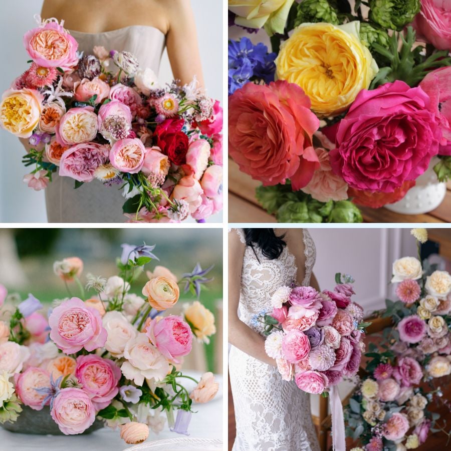 Summer palette with garden roses by Alexandra Farms