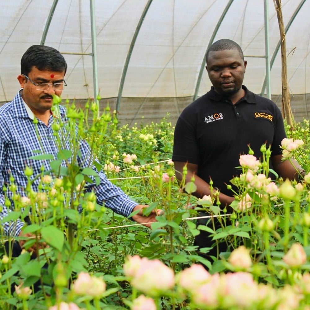 Kenya&rsquo;s Finance Act 2026 &ndash; What Does It Mean for the Country&rsquo;s Floriculture and Logistics?