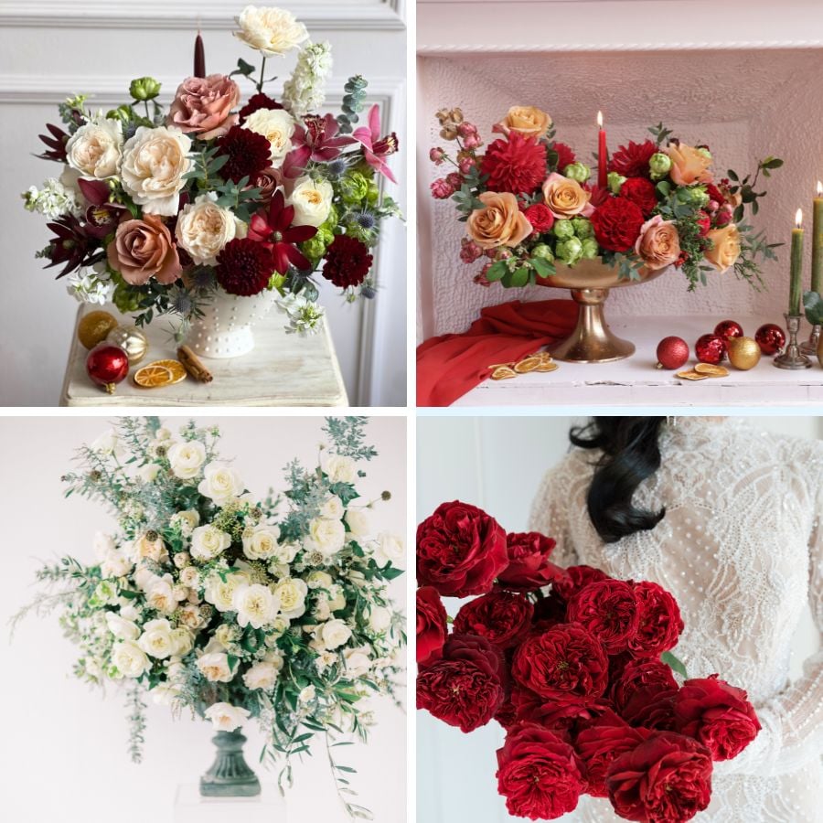 Winter colors in grden roses