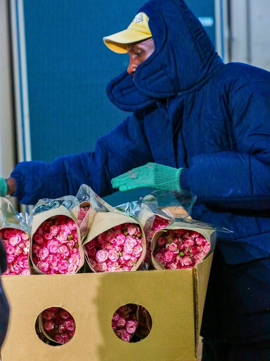 Kenya&rsquo;s Finance Act 2026 &ndash; What Does It Mean for the Country&rsquo;s Floriculture and Logistics?