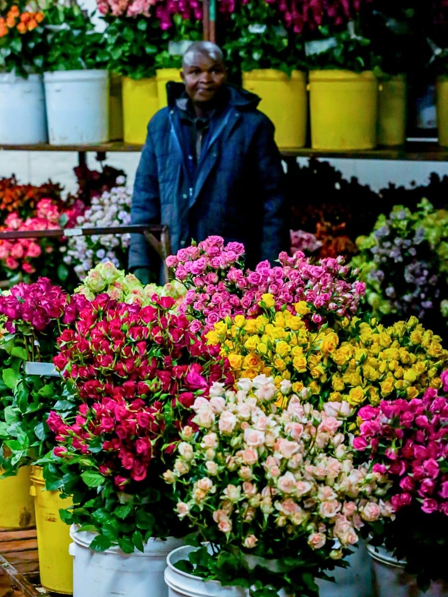 Kenya&rsquo;s Finance Act 2026 &ndash; What Does It Mean for the Country&rsquo;s Floriculture and Logistics?