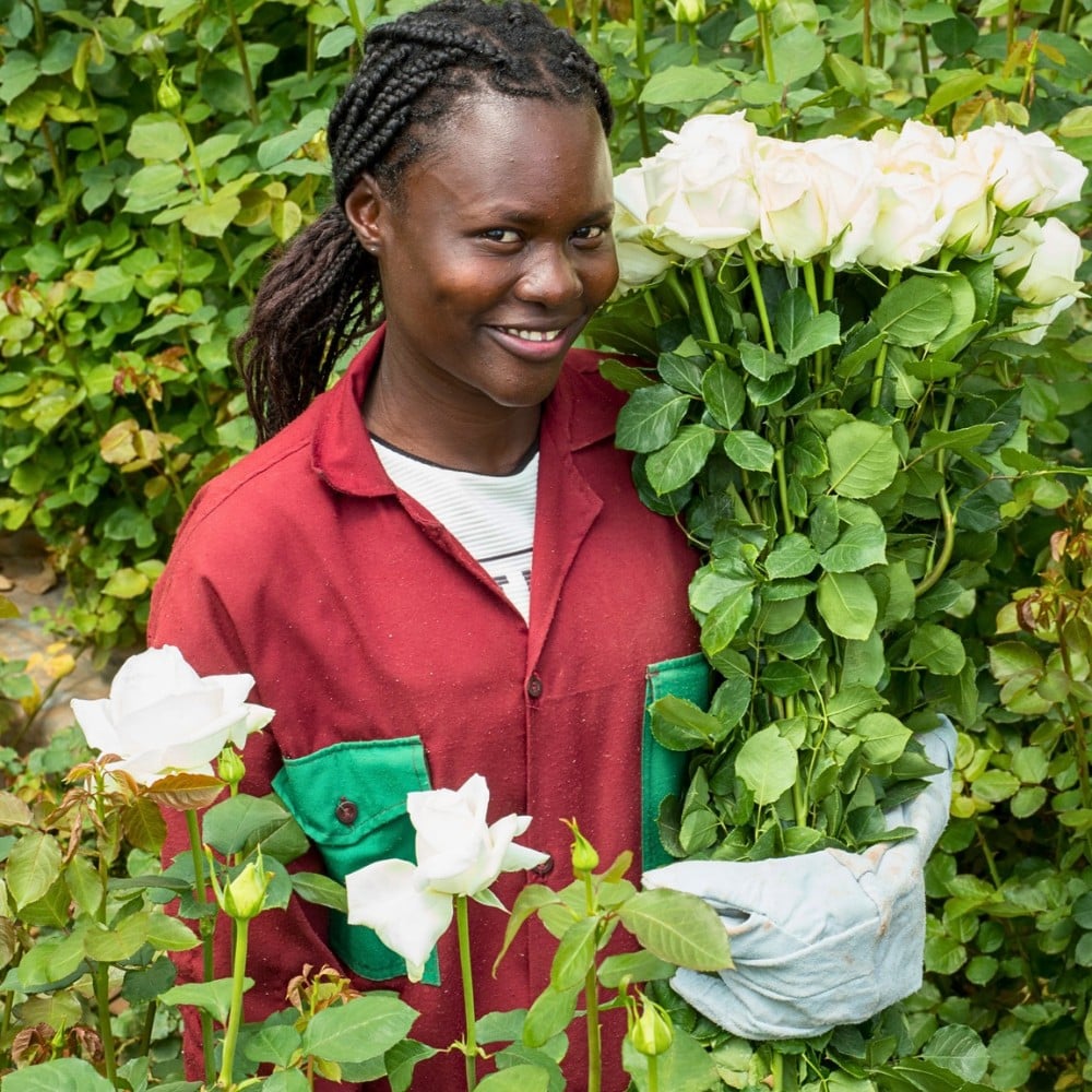 Kenya&rsquo;s Finance Act 2026 &ndash; What Does It Mean for the Country&rsquo;s Floriculture and Logistics?