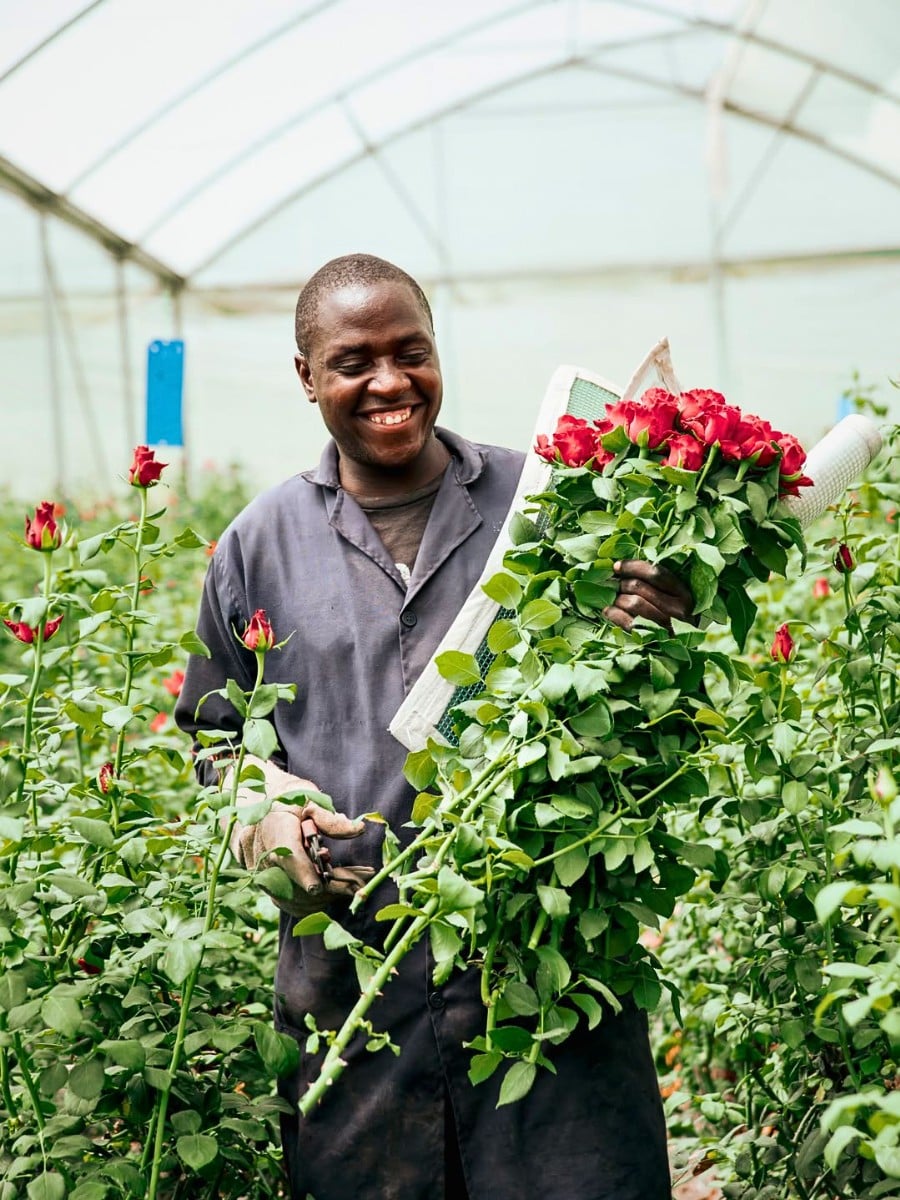 Kenya&rsquo;s Finance Act 2026 and What It Means for Floriculture and Logistics