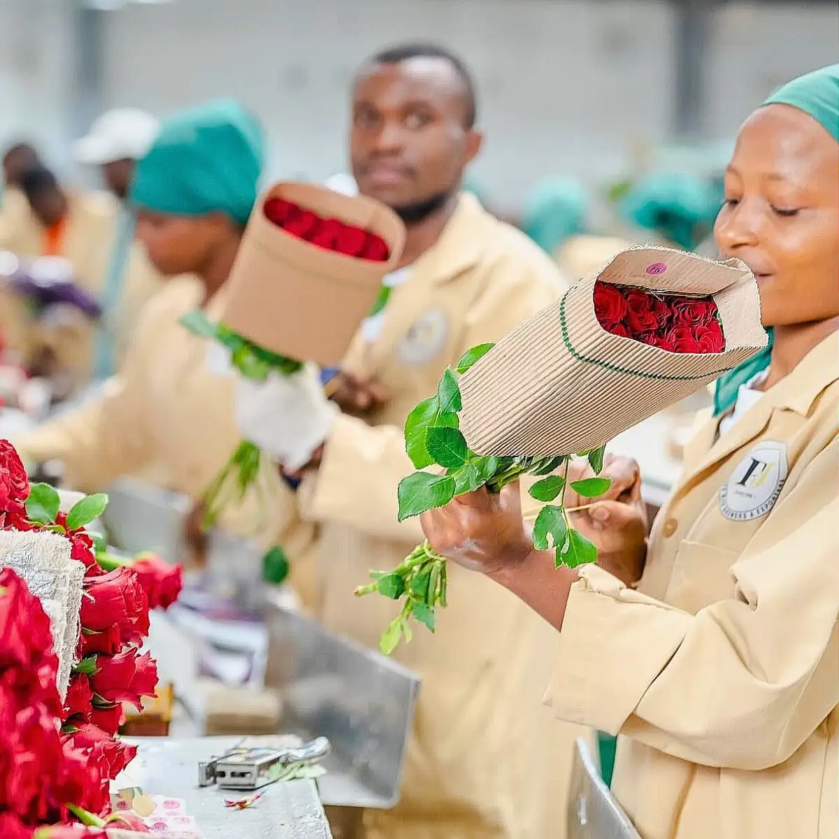 Kenya’s Finance Act 2026 and What It Means for Floriculture and Logistics