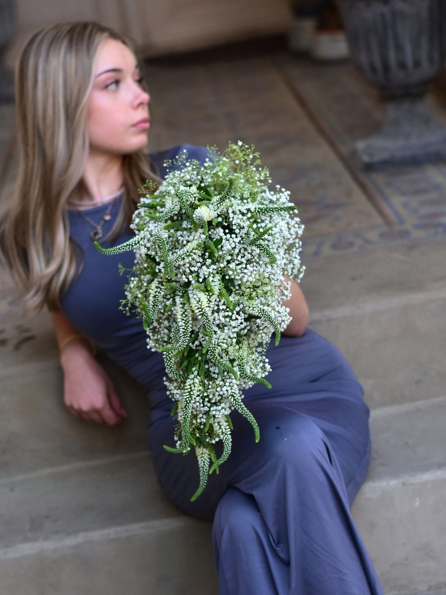 Veronica Skyler 