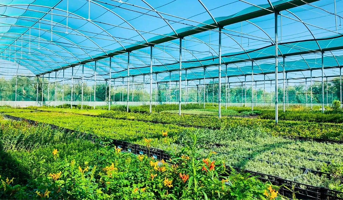 International Association of Horticultural Producers' 78th AIPH Annual Congress Comes to Bari, Italy, From September 13 to 17, 2026.
