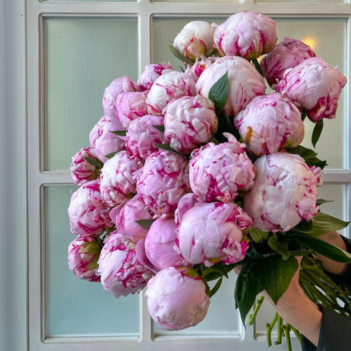 Peonies by fountainflowers
