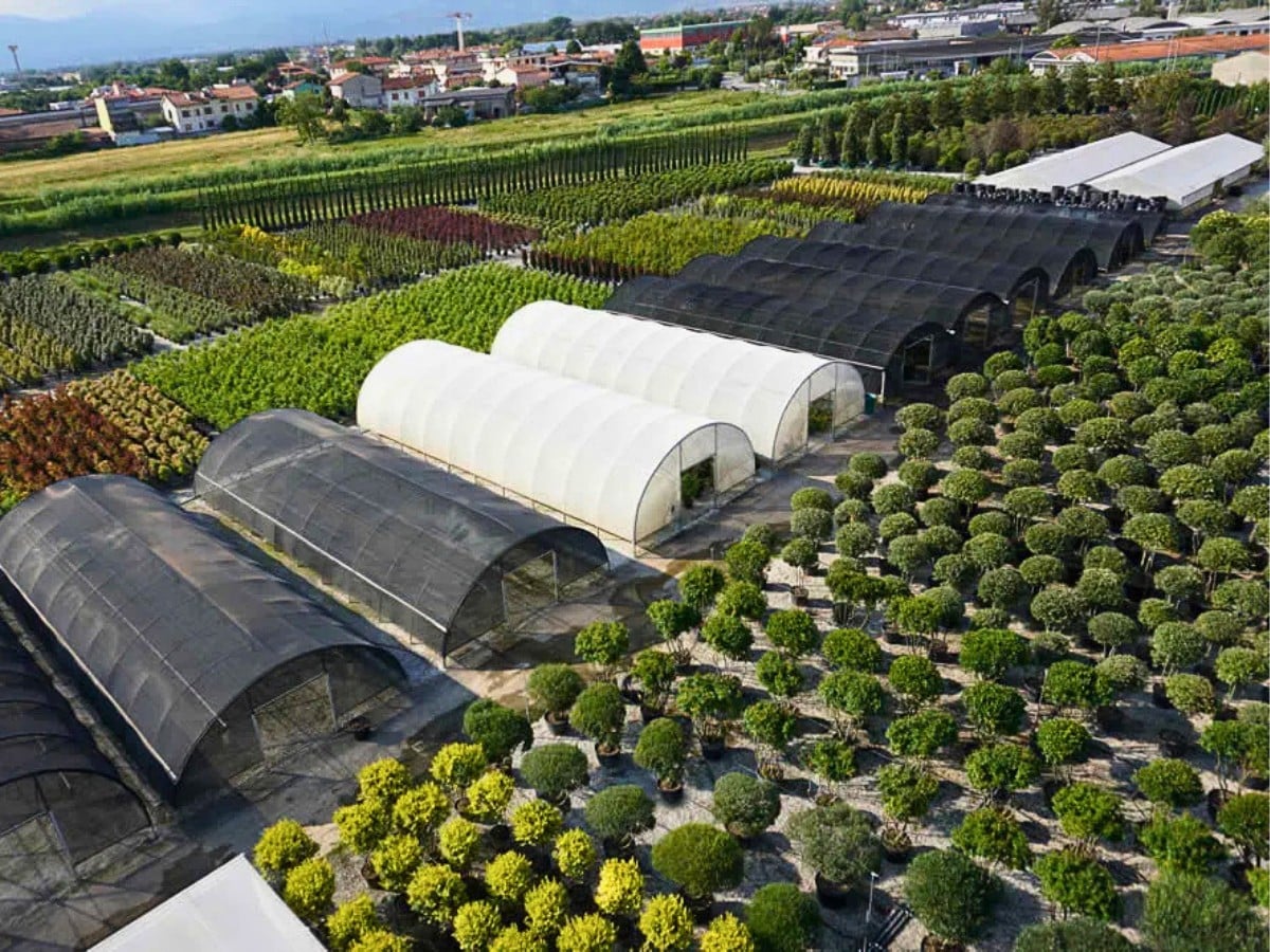 International Association of Horticultural Producers' 78th AIPH Annual Congress Comes to Bari, Italy, From September 13 to 17, 2026.