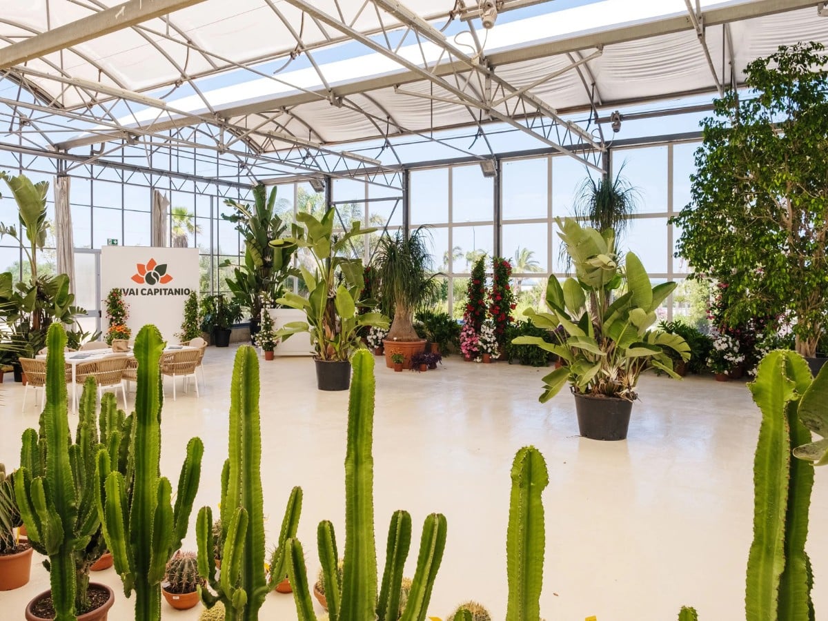International Association of Horticultural Producers' 78th AIPH Annual Congress Comes to Bari, Italy, From September 13 to 17, 2026.