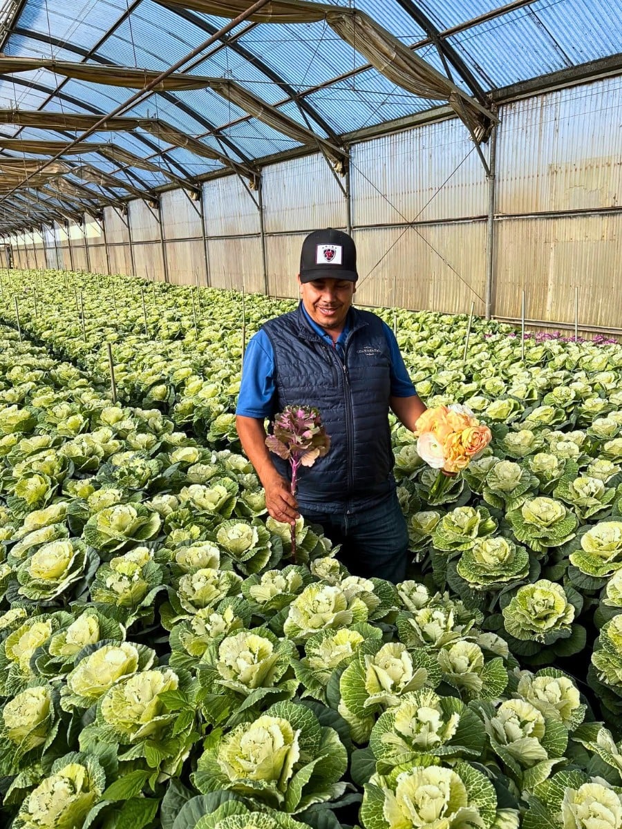Diversification, Both in Terms of Markets and Flower Varieties, as the Key to Tapping Into Emerging Flower Markets.
