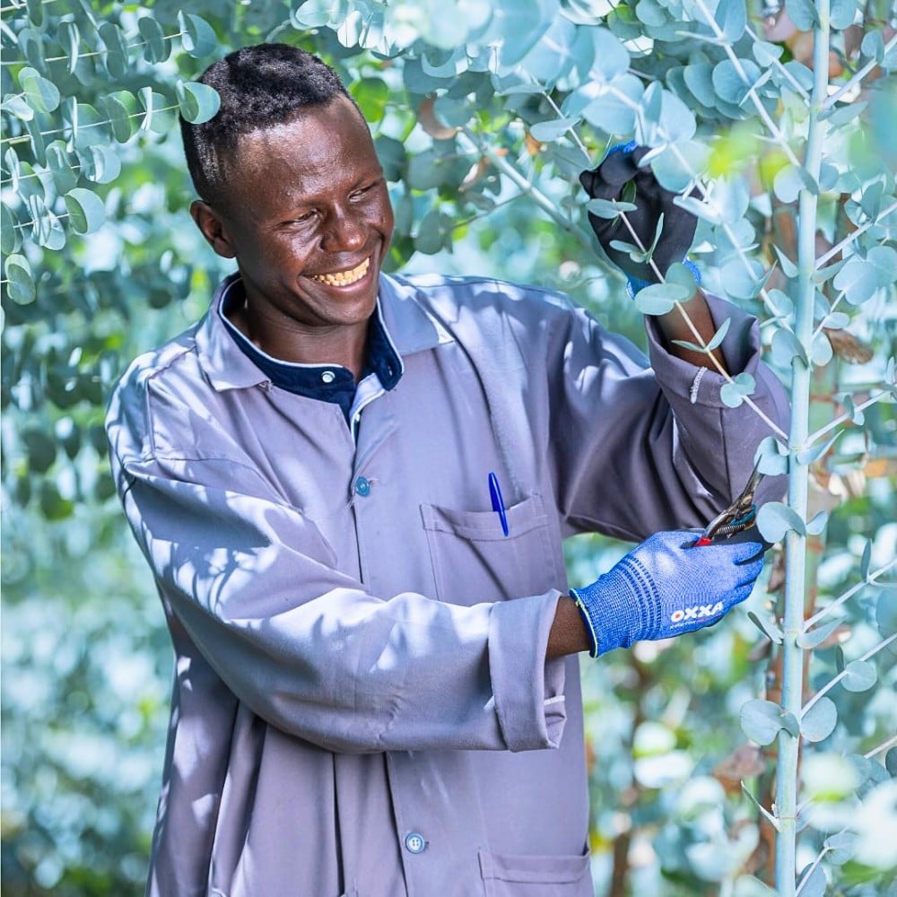 Diversification, Both in Terms of Markets and Flower Varieties, as the Key to Tapping Into Emerging Flower Markets.