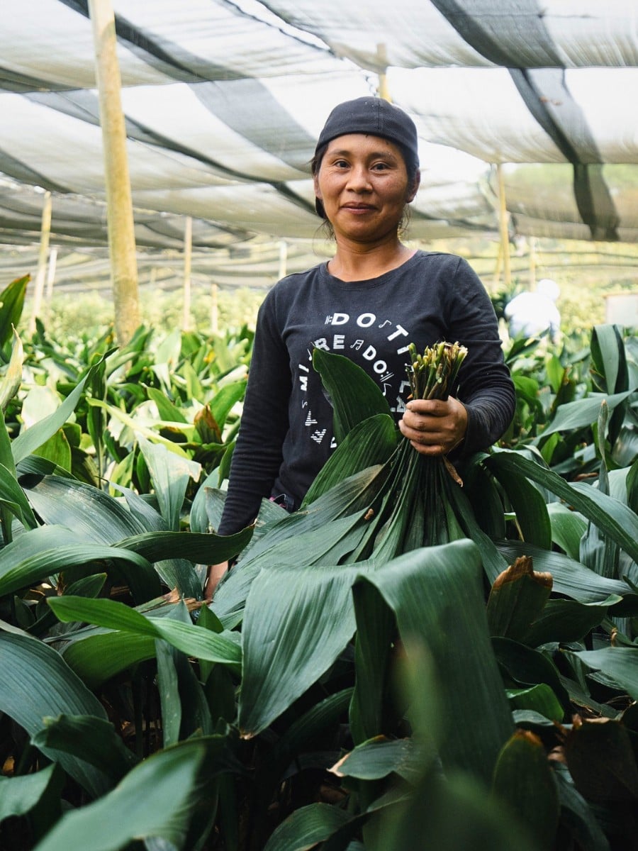 Diversification, Both in Terms of Markets and Flower Varieties, as the Key to Tapping Into Emerging Flower Markets.